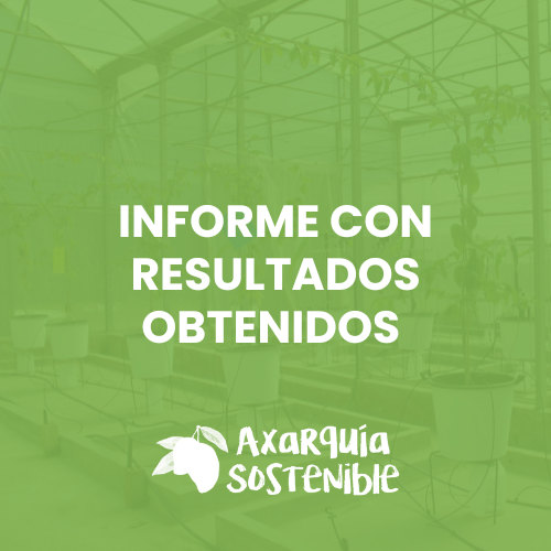 Informe resultados