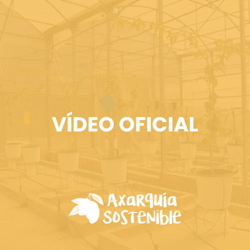 Video Oficial